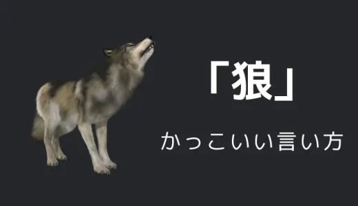 狼のかっこいい言い方8選！！英語・外国語・中二病の表現も！！