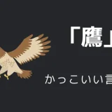 鷹のかっこいい言い方10選！！英語・外国語・中二