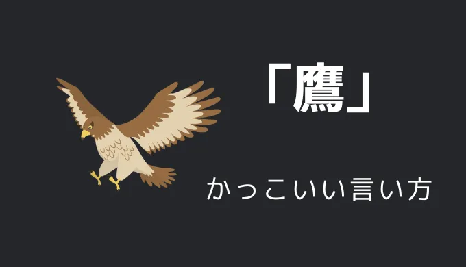 鷹のかっこいい言い方10選！！英語・外国語・中二