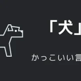犬のかっこいい言い方10選！！英語・外国語・中二病の表現も！！