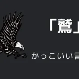 鷲のかっこいい言い方10選！！英語・外国語・中二病の表現も！！